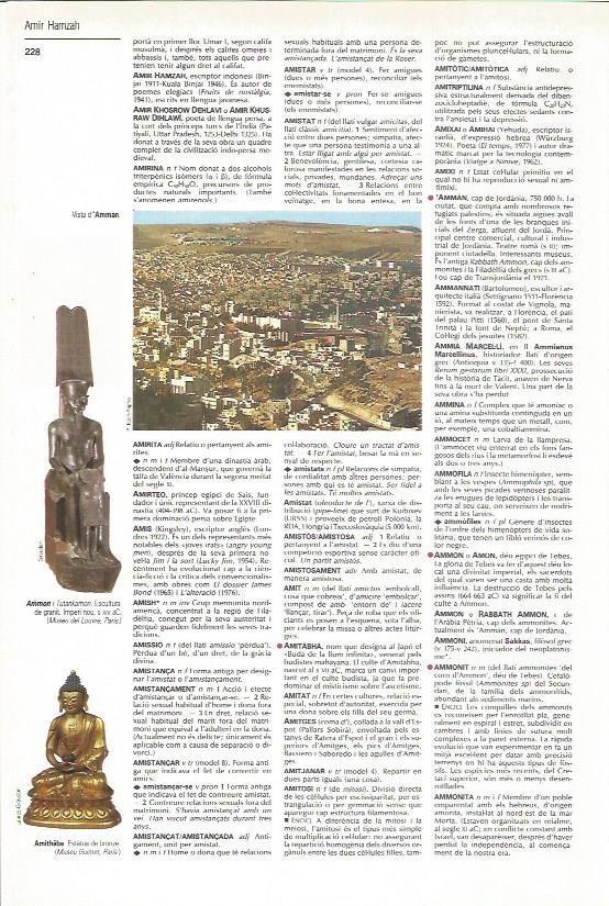 LAMINA 24568: Vista de Amman, Jordania