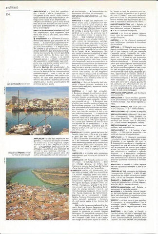 LAMINA 24569: Vistas de Amposta y L'Ampolla, Tarragona