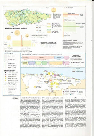 LAMINA 24600: Mapa de la economia de Asturias