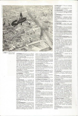LAMINA 24607: Autogiro de Juan de la Cierva en Barcelona en 1934