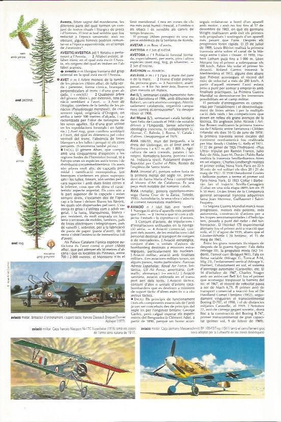 LAMINA 24609: Aviacion militar