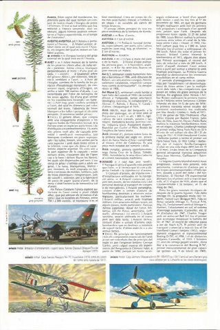 LAMINA 24609: Aviacion militar