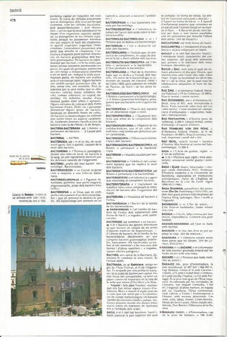 LAMINA 24613: Catedral de Badajoz