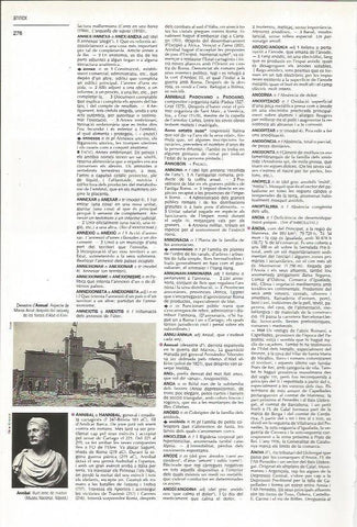 LAMINA 24574: Anibal