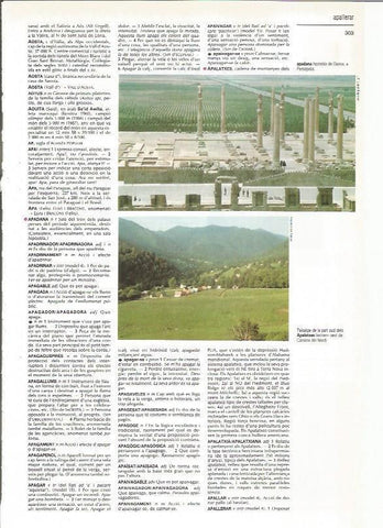 LAMINA 24578: Apadana de Dario en Persepolis, Iran