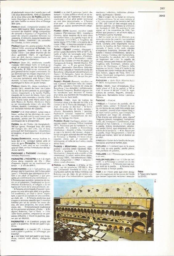 LAMINA 24464: Palazzo della Ragione en Padua, Italia