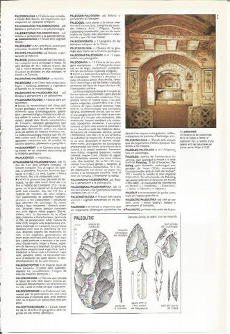 LAMINA 24470: Catacumbas de Via Latina en Roma