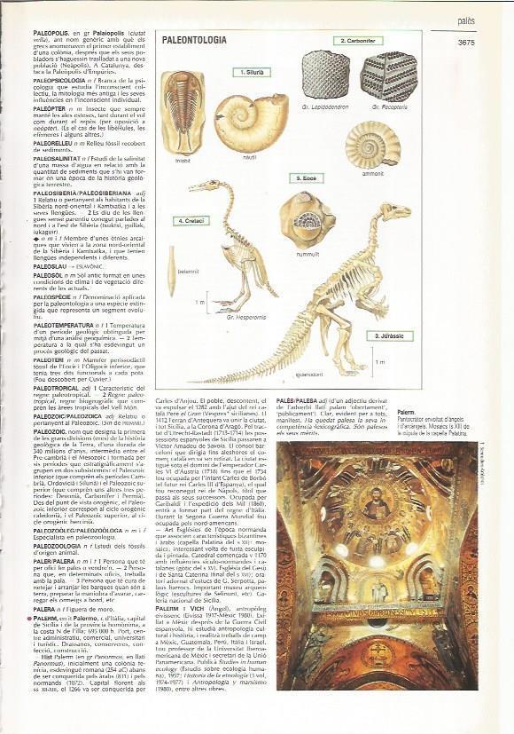 LAMINA 24471: Pantocrator de Palermo y Paleontologia