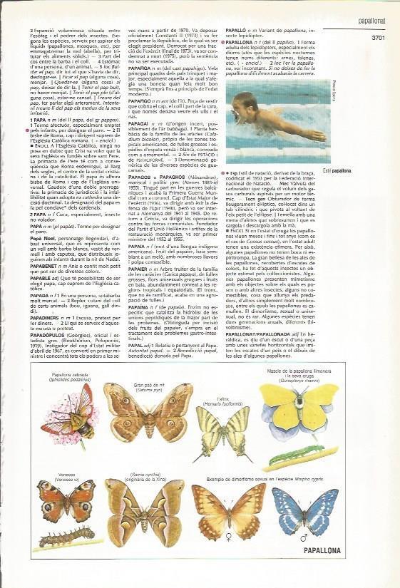 LAMINA 24479: Mariposas