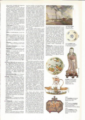 LAMINA 24506: Porcelana