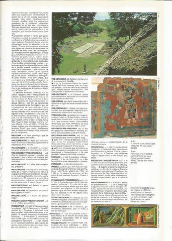 LAMINA 24514: Campo de pelota en Coplan, Mexico