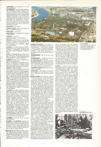 LAMINA 24520: Vista de la empresa Bayer en Alemania