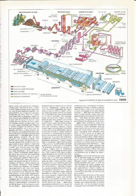LAMINA 24480: Fabricacion del papel
