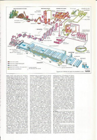 LAMINA 24480: Fabricacion del papel