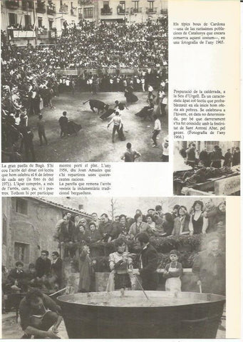 LAMINA 23996: Bous de Cardona en 1965