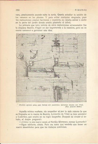 LAMINA 24197: Apuntes sobre mecanismos de fuentes, por da Vinci