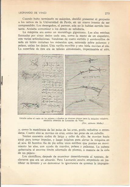 LAMINA 24203: Estudio sobre el vuelo de pajaros, por da Vinci