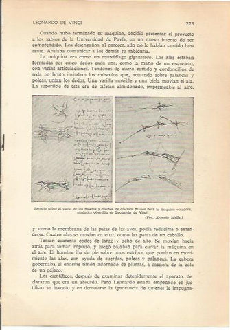 LAMINA 24203: Estudio sobre el vuelo de pajaros, por da Vinci