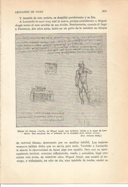 LAMINA 24212: Dibujo del David, por Miguel Angel y Leonardo da Vinci
