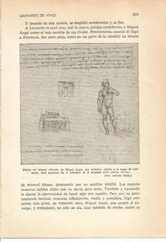 LAMINA 24212: Dibujo del David, por Miguel Angel y Leonardo da Vinci