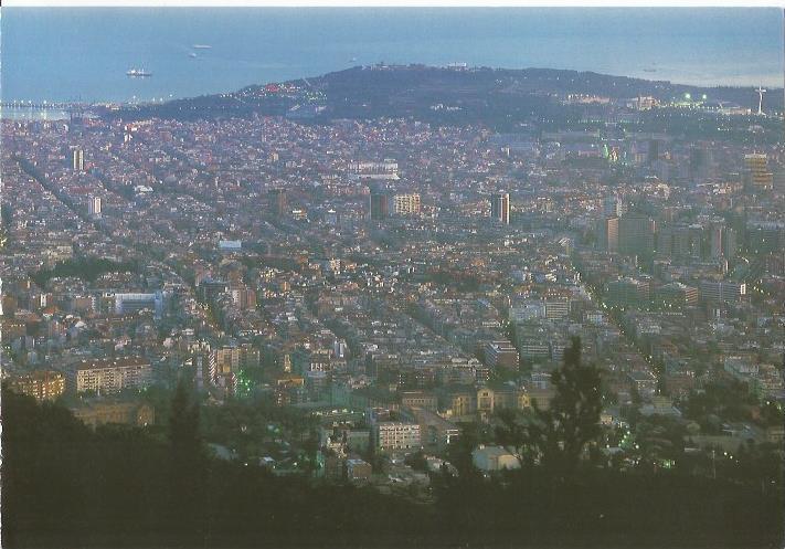 LAMINA 24076: Vista aerea de Barcelona y Montjuic