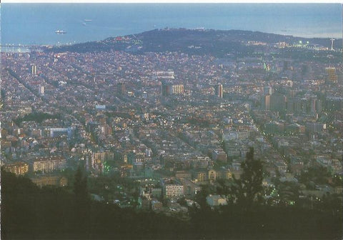 LAMINA 24076: Vista aerea de Barcelona y Montjuic