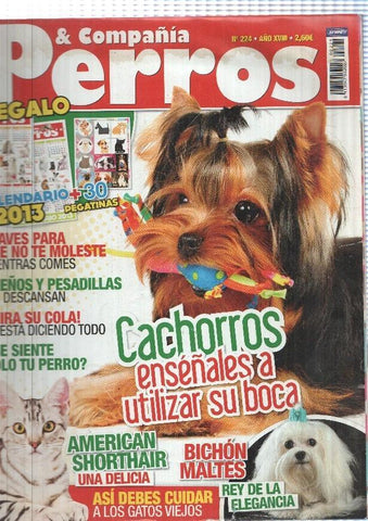 Perros & Compañia numero 224: Claves para que no te moleste mientras comes-