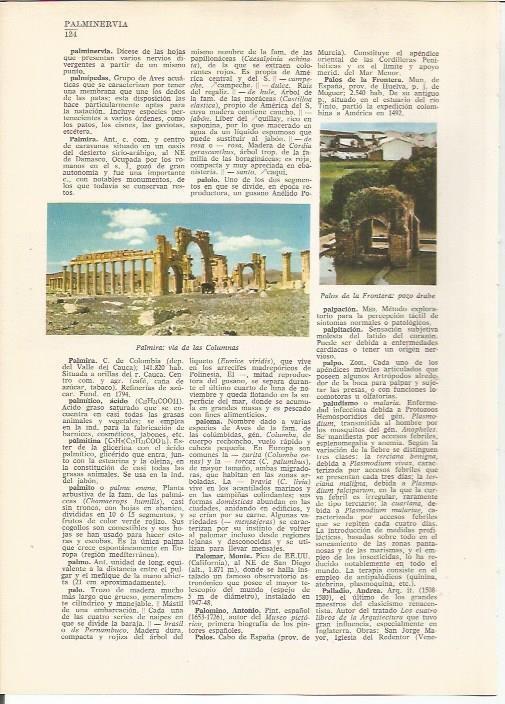 LAMINA 24778: Columnas de Palmira y pozo arabe en Palos de la Frontera