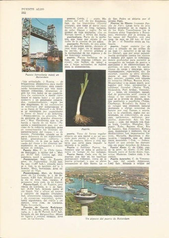 LAMINA 24794: Puente ferroviarioy puerto en Rotterdam 