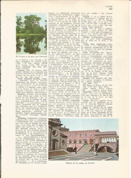 LAMINA 24862: Palacio de los Papas en Viterbo