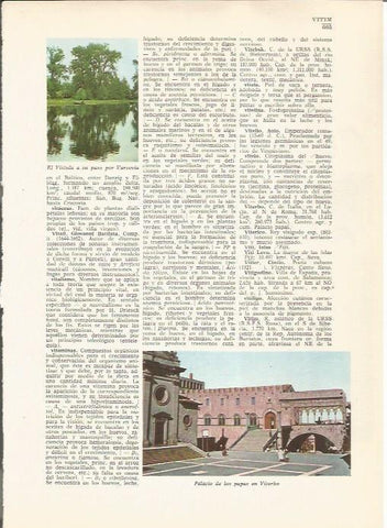 LAMINA 24862: Palacio de los Papas en Viterbo
