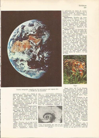 LAMINA 24837: Fotografia de la Tierra desde el Apolo XI