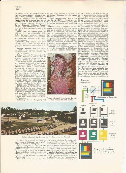 LAMINA 24831: Avenida de los Carneros de Karnak, Egipto