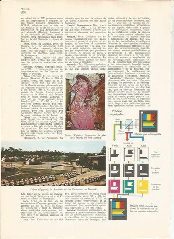 LAMINA 24831: Avenida de los Carneros de Karnak, Egipto