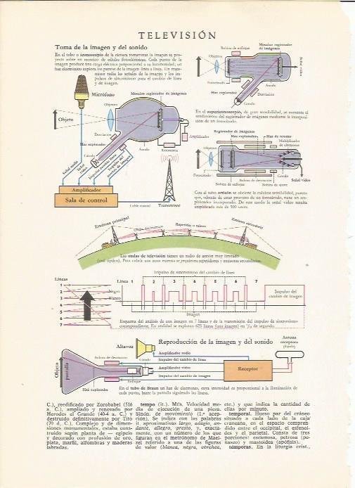 LAMINA 24832: Television