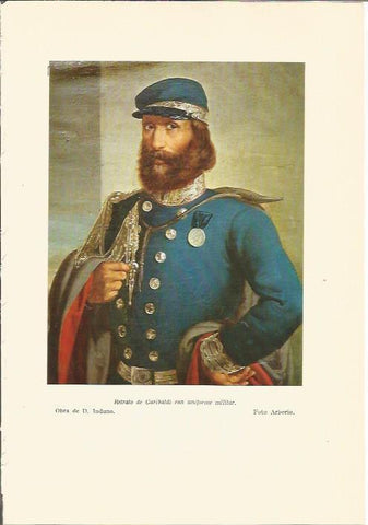 LAMINA 24618: Garibaldi, por D. Induno