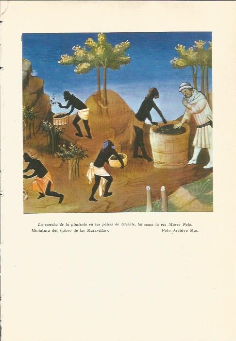 LAMINA 24717: Miniatura de El Libro de las Maravillas