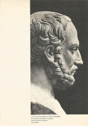 LAMINA 24686: Busto de Tucidides