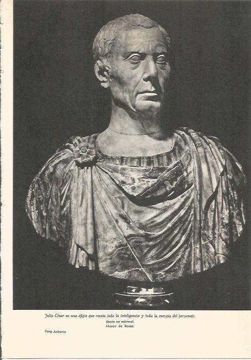 LAMINA 24698: Busto de Julio Cesar