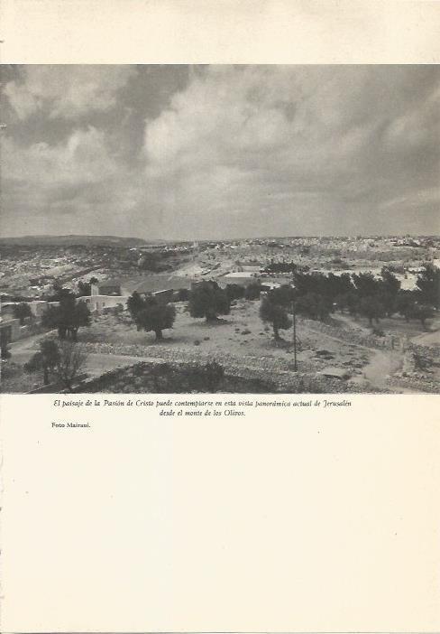 LAMINA 24700: Jerusalen desde el monte de los Olivos