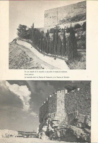 LAMINA 24701: Templo de Salomon y muralla de Jerusalen