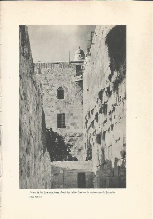 LAMINA 24704: Muro de las Lamentaciones en Jerusalen