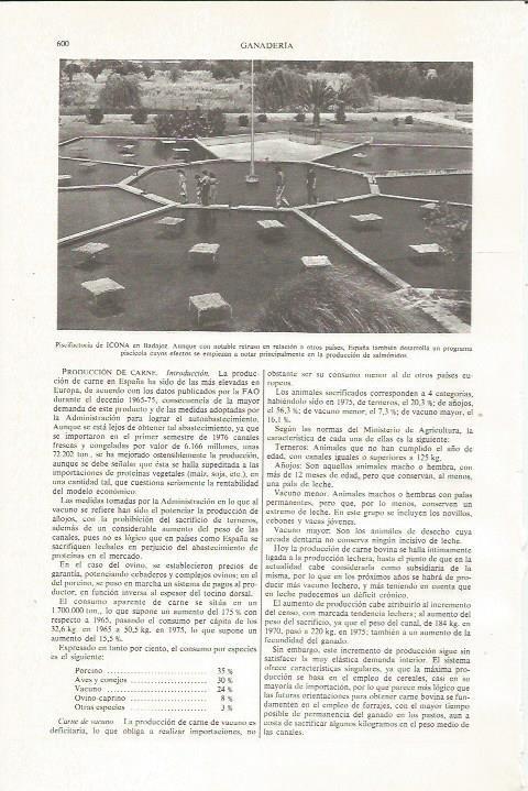 LAMINA ESPASA 36053: Piscifactoria de ICONA en Badajoz
