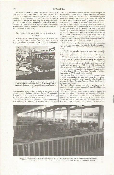 LAMINA ESPASA 36051: Matadero en Gia Dinh