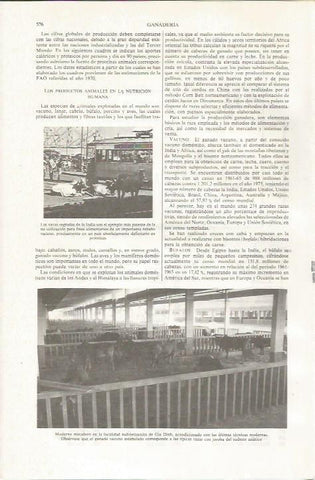 LAMINA ESPASA 36051: Matadero en Gia Dinh