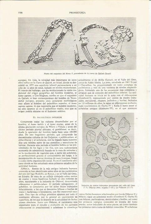 LAMINA ESPASA 36218: Planta del esqueleto del Homo 9 descubierto en Israel