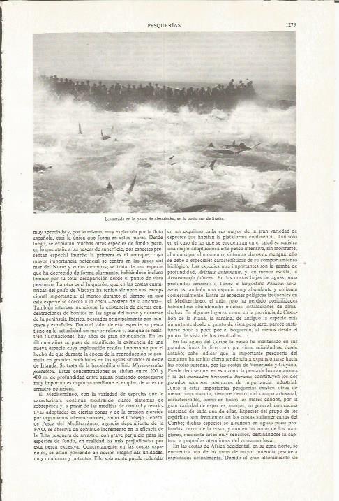LAMINA ESPASA 36210: Levantada en la pesca de almadraba en Sicilia