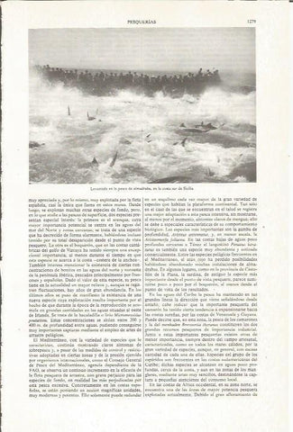 LAMINA ESPASA 36210: Levantada en la pesca de almadraba en Sicilia