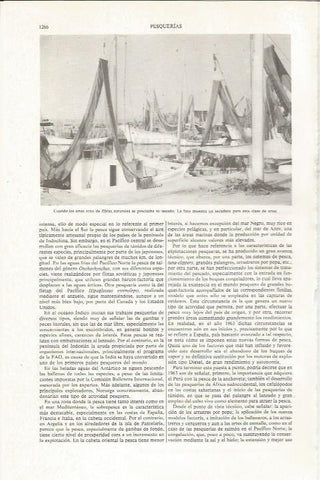 LAMINA ESPASA 36205: Secadero de redes