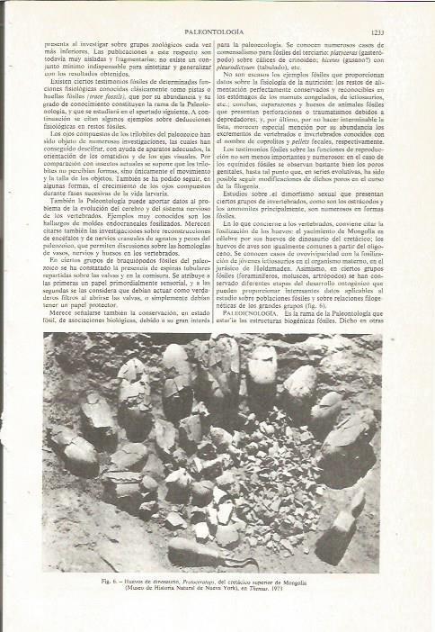 LAMINA ESPASA 36199: Huevos de dinosaurio en Mongolia